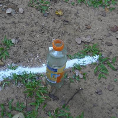 P Img 20240130 Wa0347